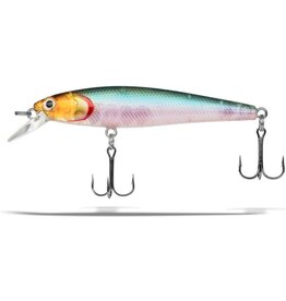 Dynamic Lures DYNAMIC LURES J-SPEC GHOST FISH  JS17