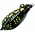 Fish Lab Fish Lab RT-2.25-BF Rattle Toad  BLACK FROG