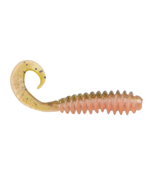 Galida's Grubz GALIDA'S GRUBZ GOLDEN SHINER 10 PK