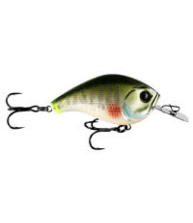 13 Fishing Jabber Jaw - Hybrid Squarebill Crankbail - 2.3"" - 1/2oz - Dream Gill
