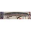 Challenger Plastic Products MS001-500G CHALLENGER TS MINNOW 3” CLEAR MINNOW