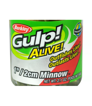 PURE FISHING Berkley GULP MINNOW 1" LUMA GLOW