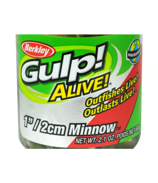 PURE FISHING Berkley GULP MINNOW 1" LUMA GLOW