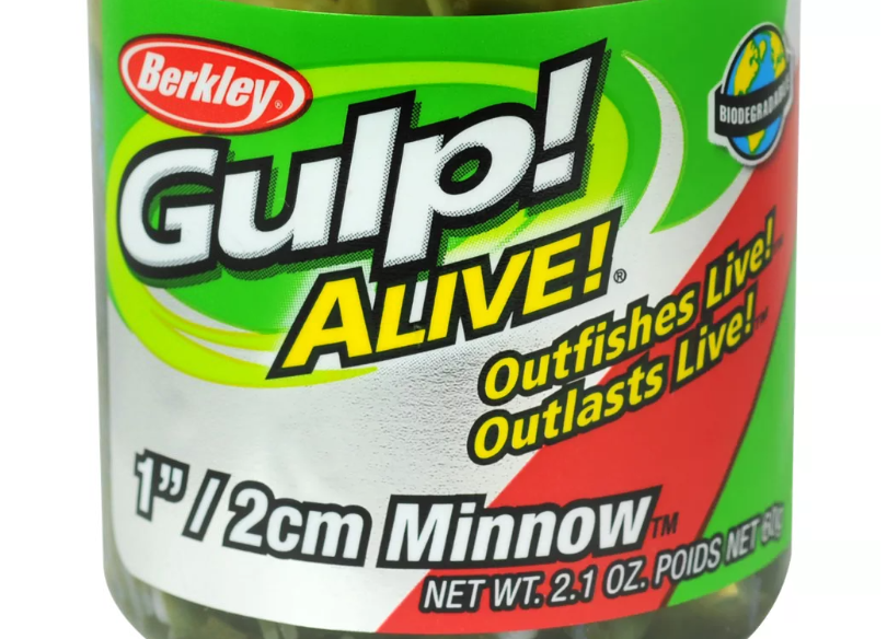 Gulp Bait 1 INCH LUMA Glow Minnow 2 jar Bundle Berkley Gulp Alive Perch  Minnows ice Fishing Bait Panfish Minnows