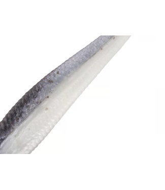 PURE FISHING BERKLEY Gulp! Alive!  1" Minnow 2.1oz Black Shad 1160749