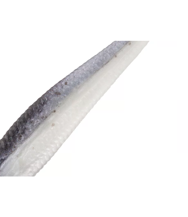 PURE FISHING BERKLEY Gulp! Alive!  1" Minnow 2.1oz Black Shad 1160749