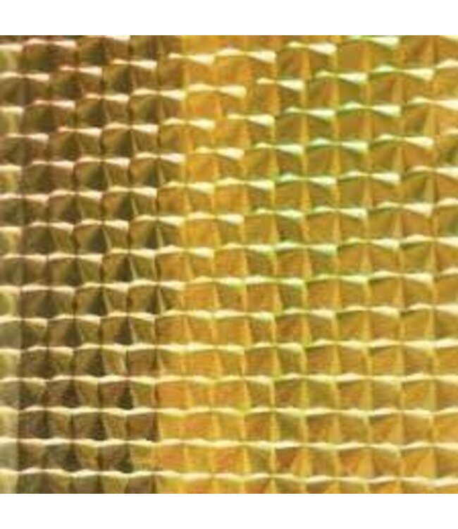 WTP INC. WTP TAPE 3X12" 2PK GOLD FISHSCALE #155