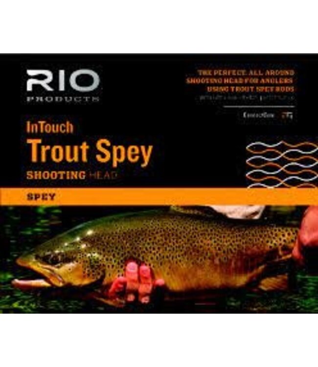 Rio RIO INTOUCH TROUT SPEY SHOOTING HEAD  350GR  #5  22'