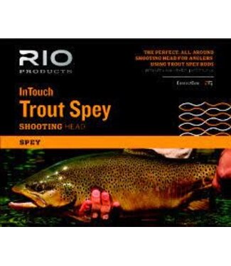Rio RIO INTOUCH TROUT SPEY 230 GR #2 22 FT