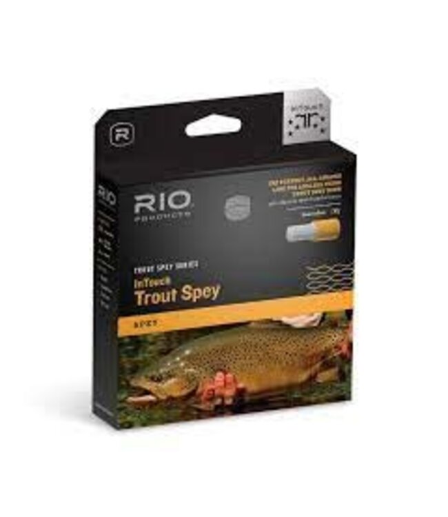 Rio RIO INTOUCH SKAGIT TROUT SPEY SHOOTING HEAD  175GR  #1  13.5
