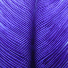 Wapsi OSTRICH PLUMES, PURPLE  OP092