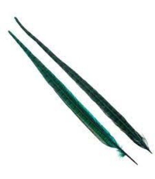 Wapsi 1 PAIR RINGNECK TAIL FEATHERS OLIVE  PTP089
