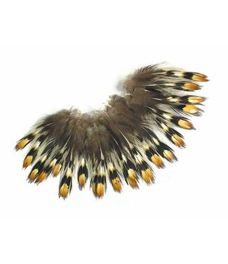 Wapsi JUNGLE COCK IMITATION EYES, MEDIUM  EYJ0004