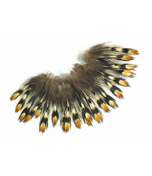 Wapsi JUNGLE COCK IMITATION EYES, MEDIUM  EYJ0004