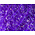 HARELINE Polar Reflector Flash Chenille #298 Purple PRC298
