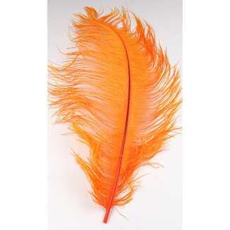 Ostrich Plume Fl Org #OST131