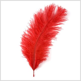 Ostrich Plume Red #OST095