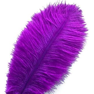 Ostrich Plume Purple #OST091