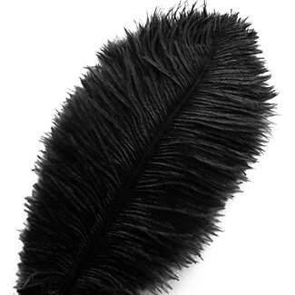 Ostrich Plume Black #OST001