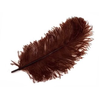 Ostrich Plume Brown #OST002