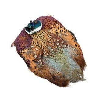 Wapsi RINGNECK PHEASANT SKIN, NATURAL, COCK PS198