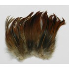 Wapsi NECK HACKLE STRUNG, NATURAL BROWN NH227