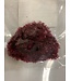 Wapsi ICE CHENILLE LARGE, WINE ICL052