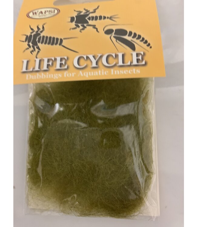 Wapsi LIFE CYCLE DUBBING CADDIS OLIVE  LCC089