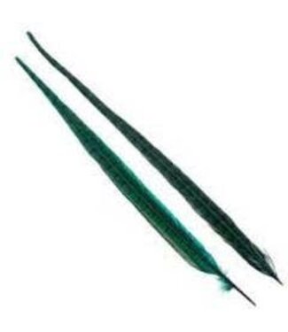 Wapsi 1 PAIR RINGNECK TAIL FEATHERS ORANGE PTP012