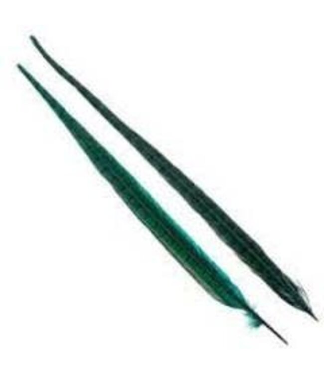 Wapsi 1 PAIR RINGNECK TAIL FEATHERS ORANGE PTP012