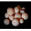 Death Roe DEATH ROE SCENTED SOFT EGG CHAINS 3/8" FROST BITE SERIES DEADROE
