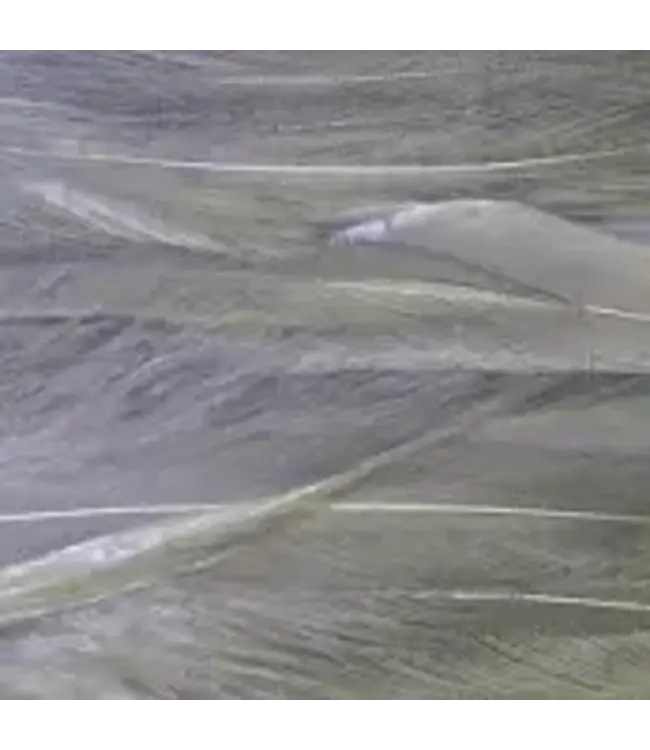 Wapsi DECEIVER STRUNG ROOSTER SADDLES ME, SHAD GRAY SSH137