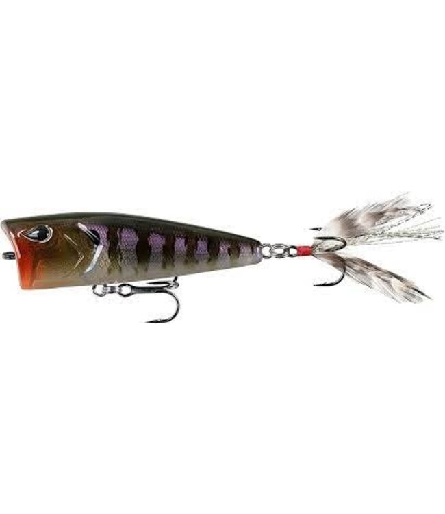 13 Fishing 13 FISHING POPPY MC POP FACE- 3 5/8OZ RUSTY BREAM