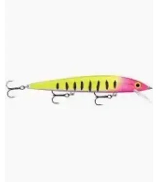 Rapala RAPALA HUSKY JERK 10 HEAD SPIN (HJ10-HSP)