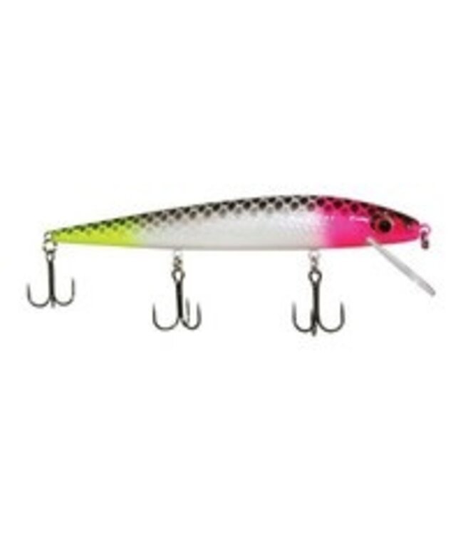 Warrior Lures CUSTOM PAINTED Smithwick Perfect 10    WHITE PERCH 5 1/2inch 5/8oz