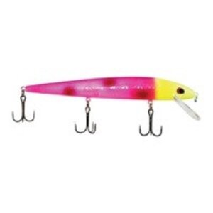 M & P Sporting Products LLC Warrior Lures CUSTOM PAINTED Smithwick Perfect 10    REEL NAUGHTY 5 1/2inch 5/8oz