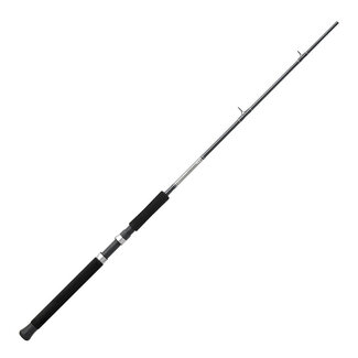 DAIWA CORPORATION DAIWA GREAT LAKES DIPSY DIVER TROLLING ROD GL1062MHF
