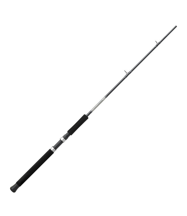 DAIWA CORPORATION DAIWA GREAT LAKES DIVER TROLLING ROD 9'6" 2PC MH
