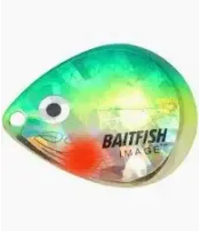 Baitfish Spinner Yellow Perch 6