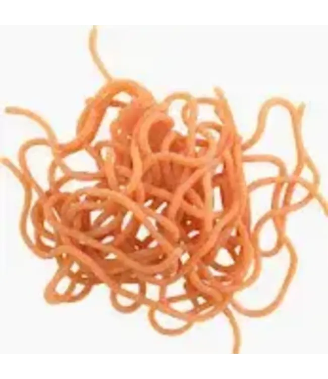 Wapsi SILI WORMS, WORM BROWN SWR046