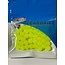 CLEARDRIFT Cleardrift Solid Soft Bead Bright Chartreuse 8mm
