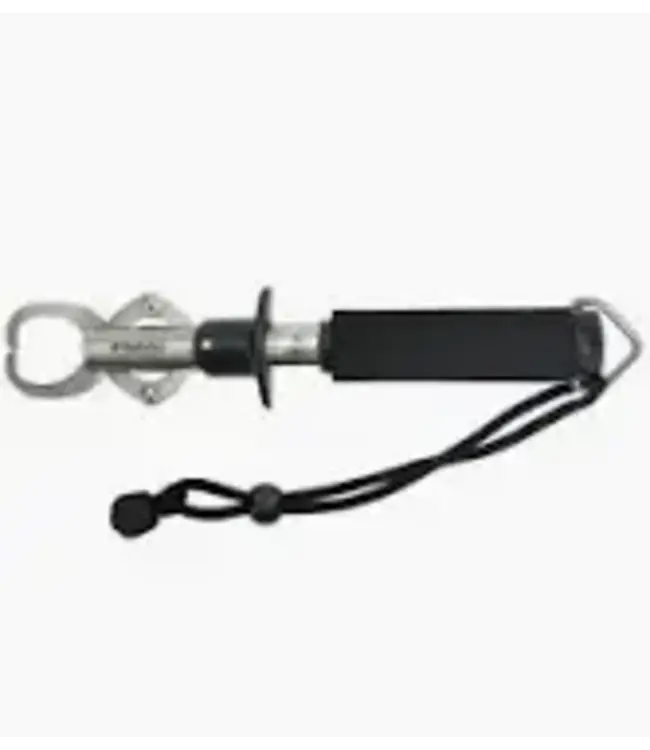 (ACC5170) STAINLESS STEEL FISH GRIP TOOL WITH SCALE