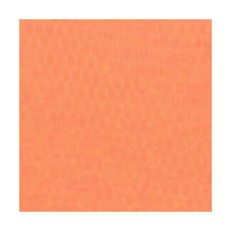 Redwing Tackle REDWING SPAWN NET 22.9'X2.75"  SALMON