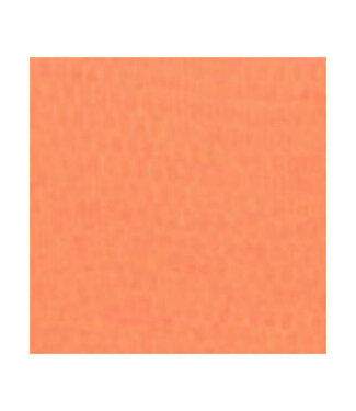 Redwing Tackle REDWING SPAWN NET 22.9'X2.75"  SALMON