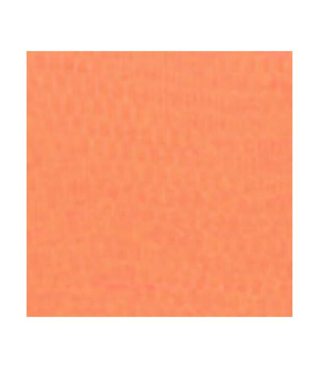 Redwing Tackle REDWING SPAWN NET 22.9'X2.75"  SALMON