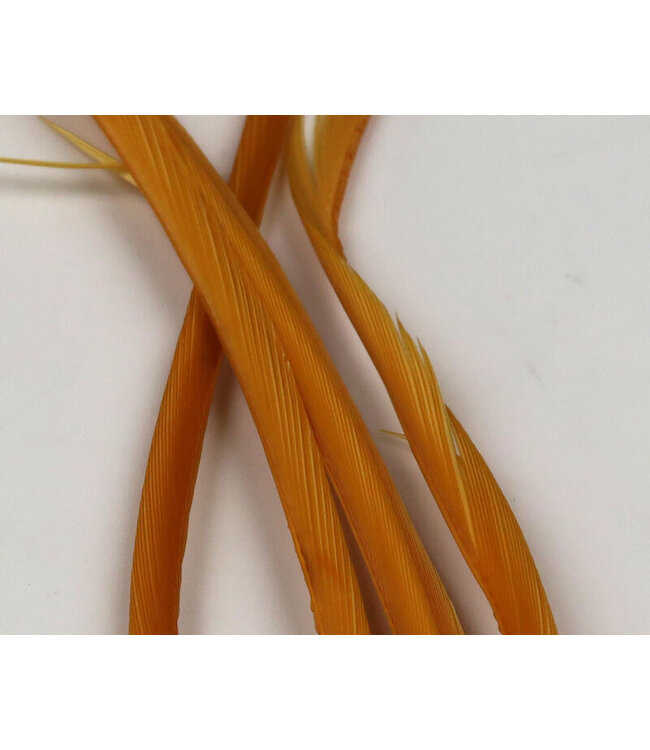 Hareline Stripped Goose Biots Gold SGB153