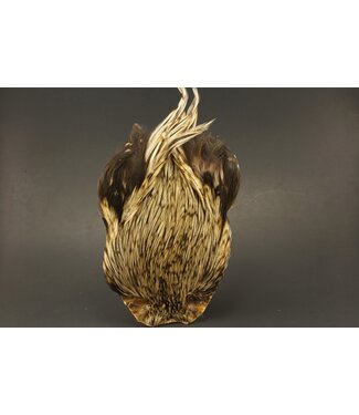 Wapsi (DFRN233) DRY FLY ROOSTER NECKS, PRIME, BADGER