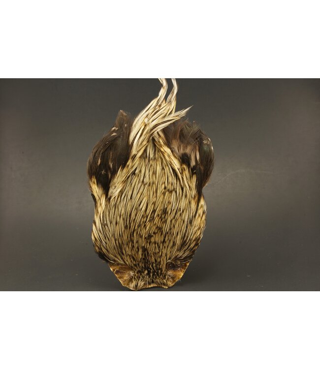 Wapsi (DFRN233) DRY FLY ROOSTER NECKS, PRIME, BADGER
