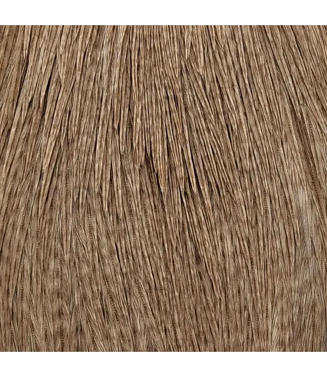 Wapsi (DFRN029) DRY FLY ROOSTER NECKS, PRIME, DYED DUN