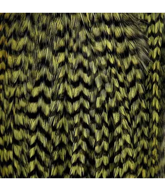 Wapsi DRY FLY NECK HACKLE MINI PACK LG, OLIV/GRIZ NKL189